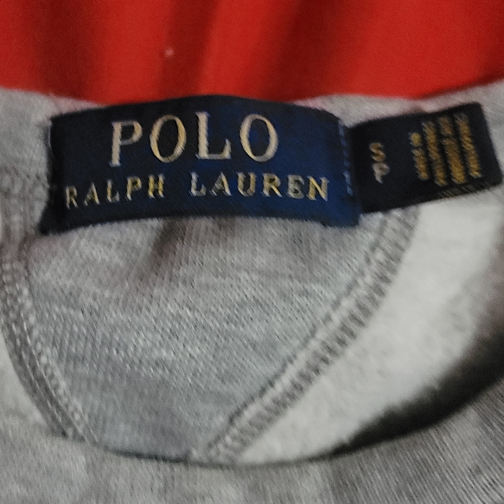 Polo sweater bear